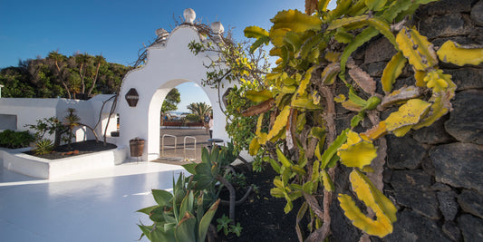 The Cesar Manrique House Museum