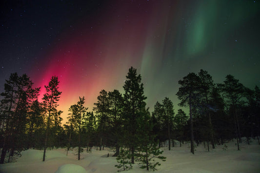 The best places to see the Northern Lights in 2024
